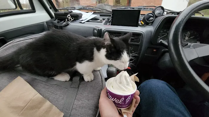 Carvel Picture 1
