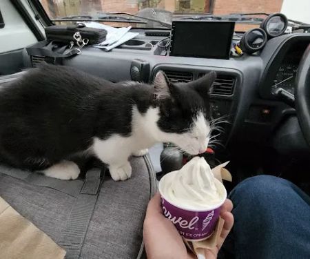 Carvel