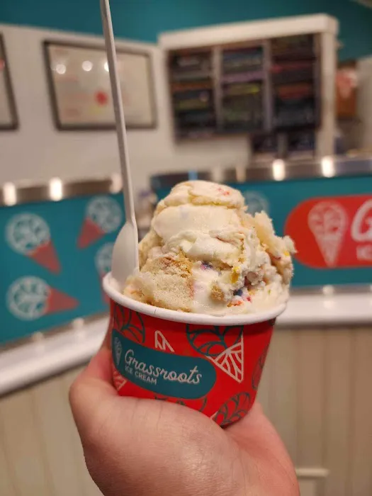 Grassroots Ice Cream Picture 3