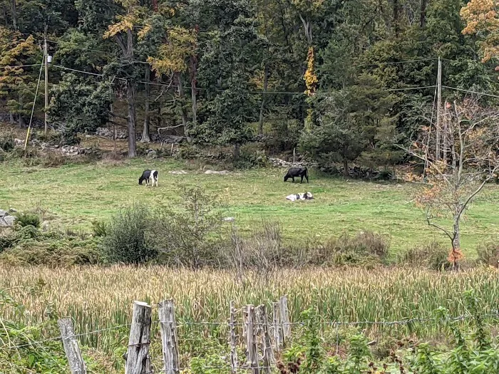 Ferris Acres Creamery Picture 9