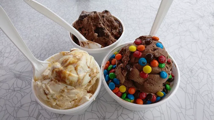 Holy Cow Ice Cream Shop Picture 8