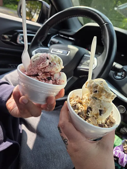 Holy Cow Ice Cream Shop Picture 3