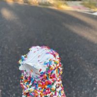 Mister Softee Ice Cream Store ico