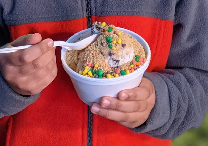 Brain Freeze Ice Cream Parlor Picture 9