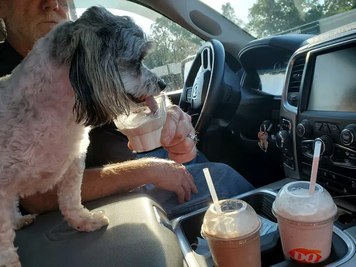 Dairy Queen (Treat) Picture 7