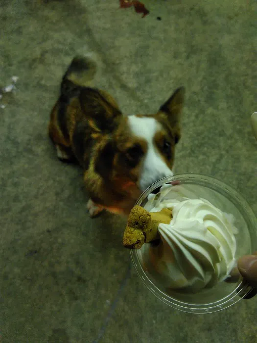 Rita's Italian Ice & Frozen Custard Picture 7