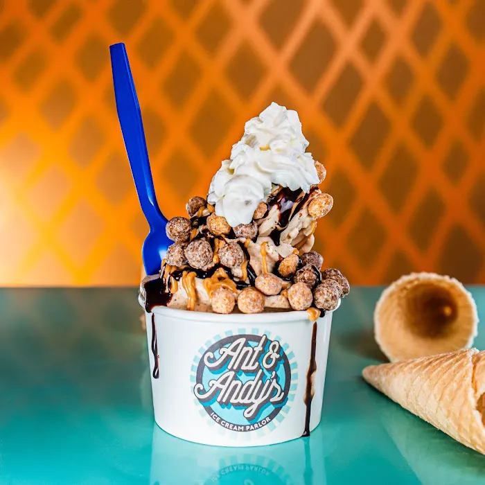 Ant & Andy's Ice Cream Picture 4