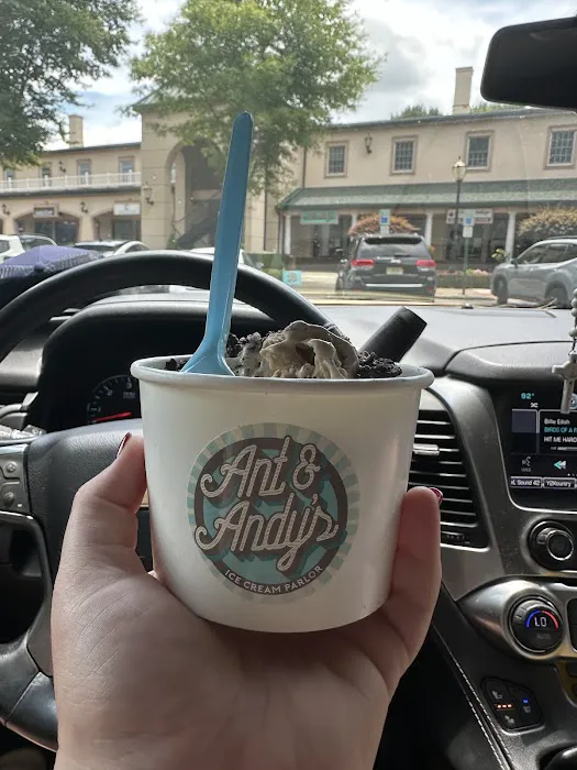 Ant & Andy's Ice Cream Picture 5
