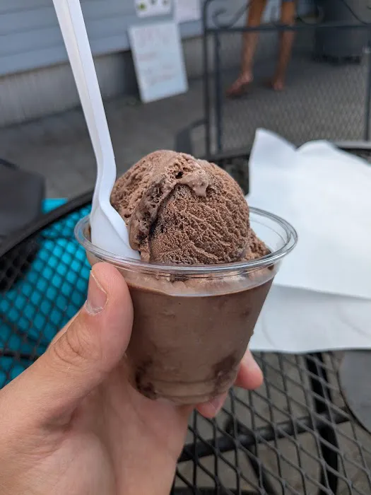 Four Boys Ice Cream Picture 6