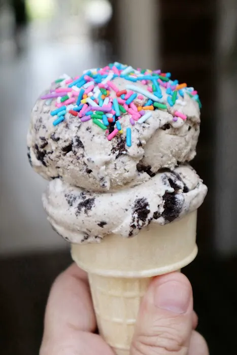 Sugarfly Ice Cream Shop Picture 3