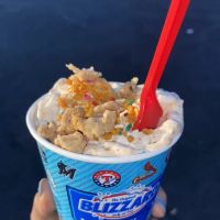 Dairy Queen Store ico