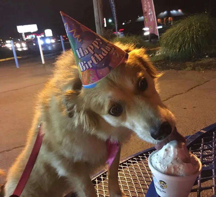 Ralph's Famous Italian Ices Picture 9
