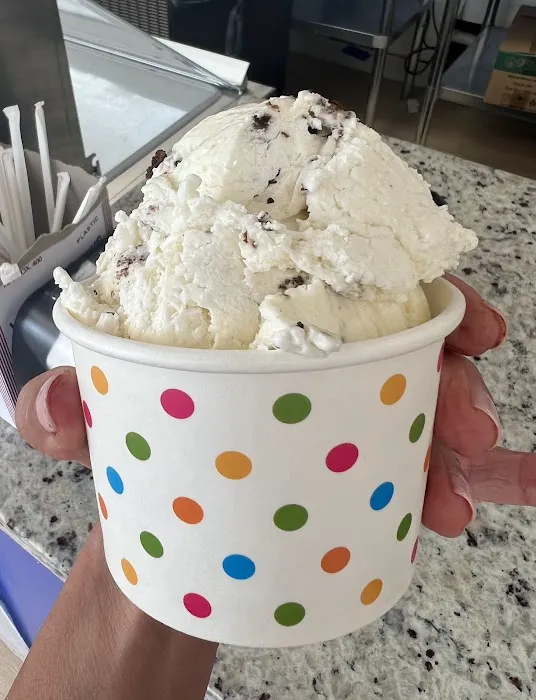 Ryan's Homemade Ice cream Picture 5