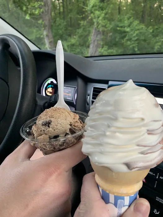 Polar Bear Ice Cream Picture 7