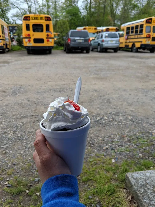 Polar Bear Ice Cream Picture 1