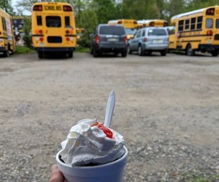 Polar Bear Ice Cream
