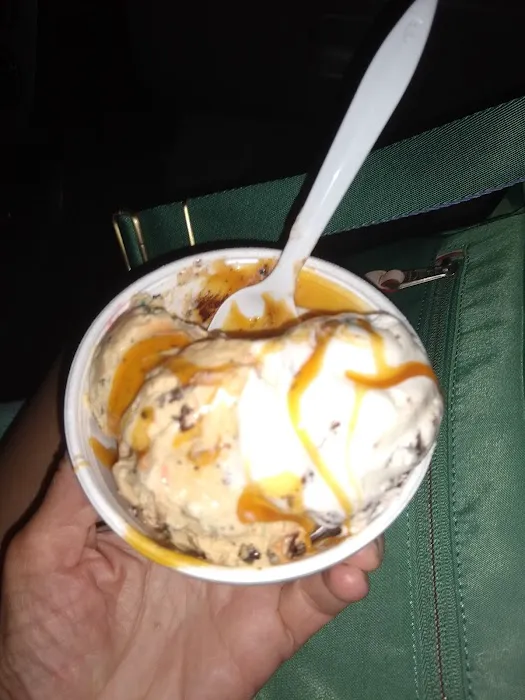 Polar Bear Ice Cream Picture 10