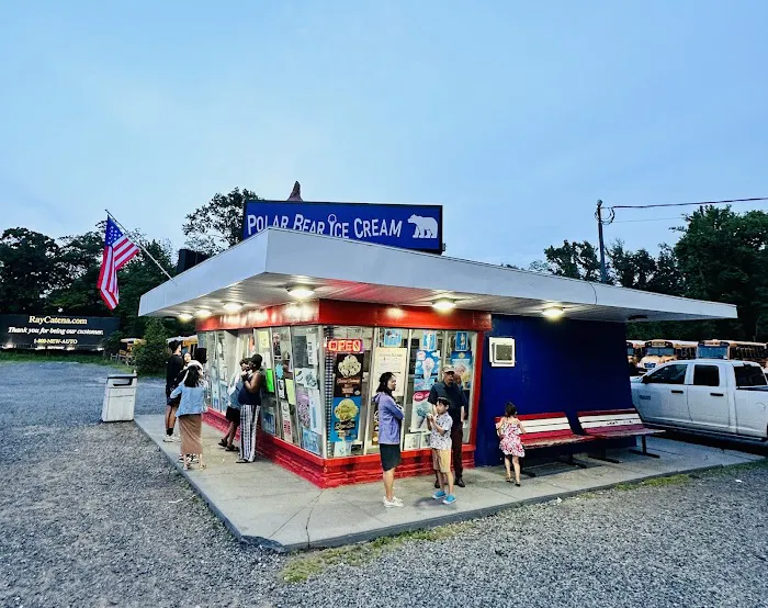 Polar Bear Ice Cream Picture 6