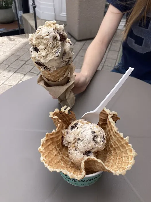 Van Leeuwen Ice Cream Picture 7
