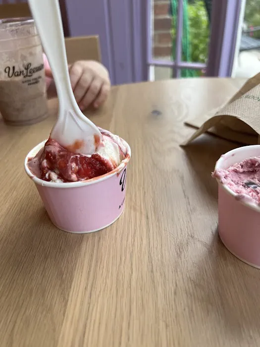 Van Leeuwen Ice Cream Picture 5