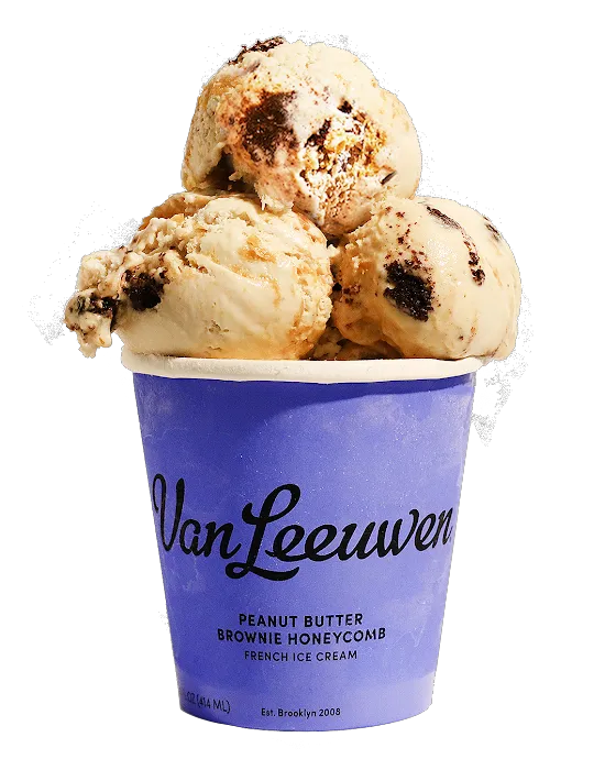 Van Leeuwen Ice Cream Picture 8