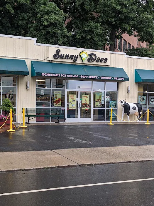 Sunny Daes Picture 2