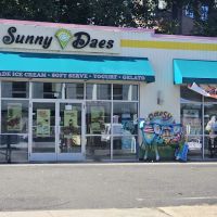 Sunny Daes ico