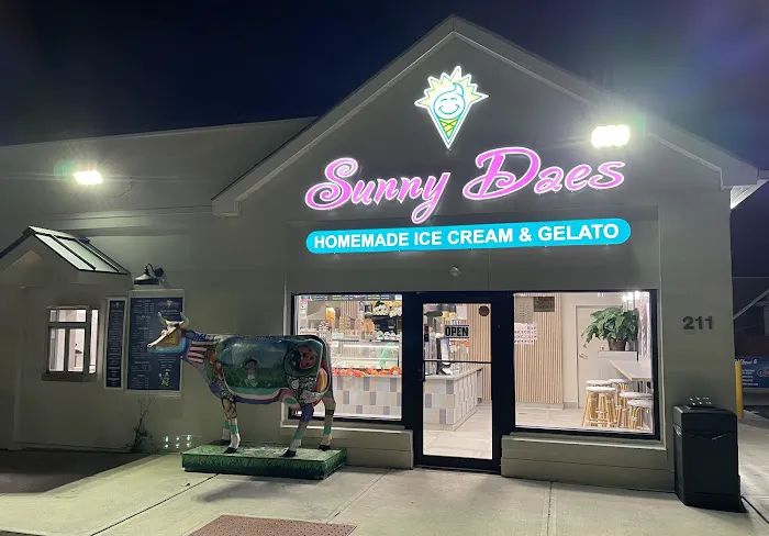 SunnyDaes Ice Cream Picture 8