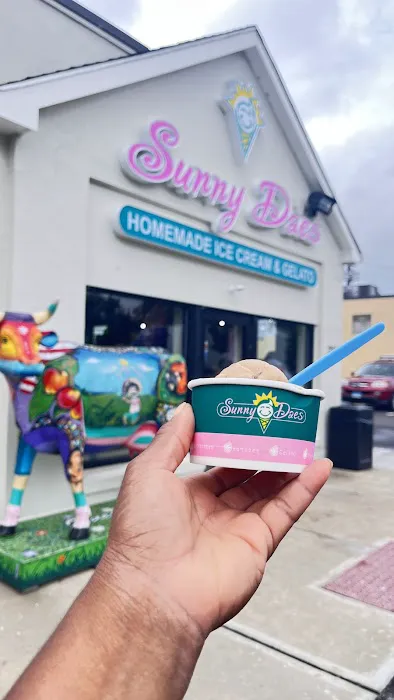 SunnyDaes Ice Cream Picture 3
