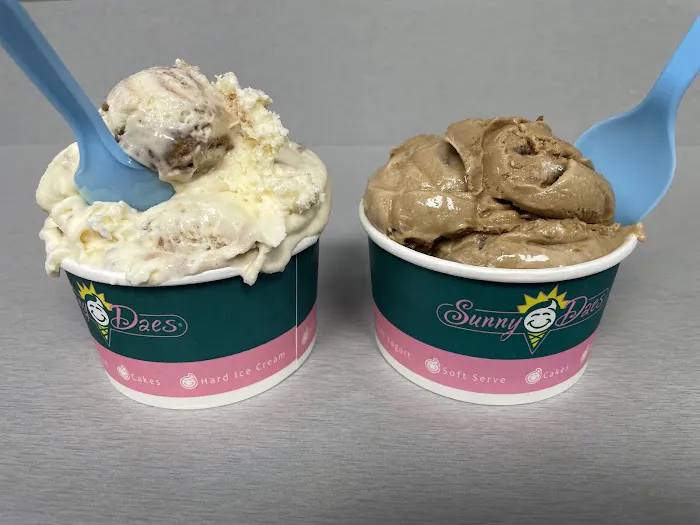 SunnyDaes Ice Cream Picture 2