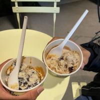 Van Leeuwen Ice Cream ico
