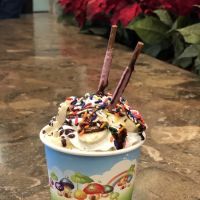 Halo Rolling Ice Cream ico