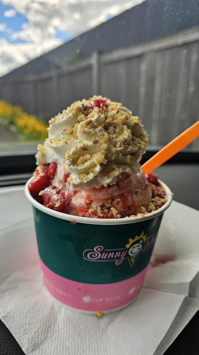 Sunny Daes Ice Cream Picture 3