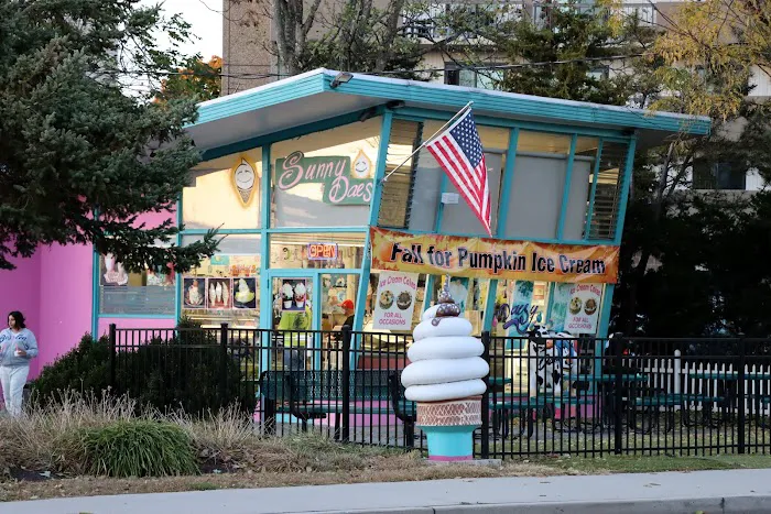 Sunny Daes Ice Cream Picture 2