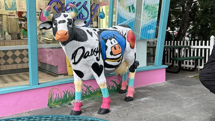 Sunny Daes Ice Cream Picture 4