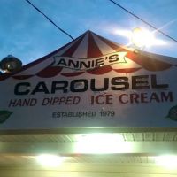 Annie's Carousel ico