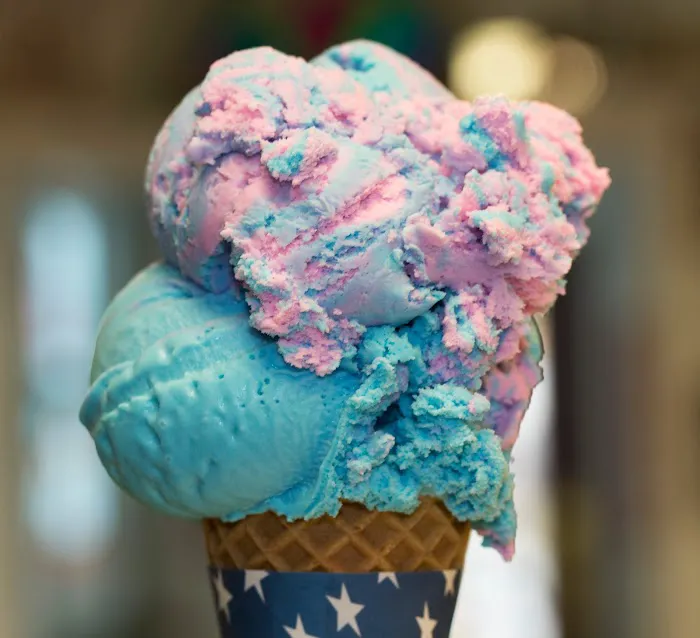 Hobby Horse Ice Cream Parlor & Cafe Picture 6