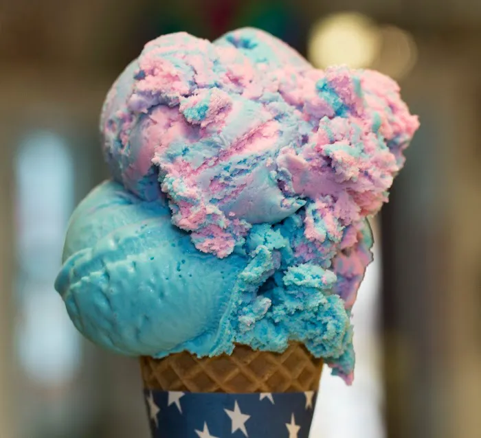 Hobby Horse Ice Cream Parlor & Cafe Picture 3