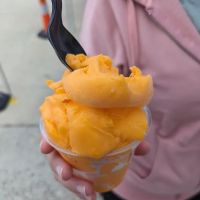 Mike's Custard Shack- Soft Serve & Italian Ice ico