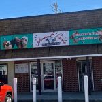 Johnny B Goode Ice Cream Parlor