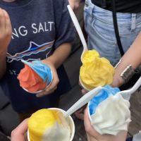 TLC Polish Water Ice ico