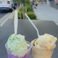Jersey Cow Ice Cream ico