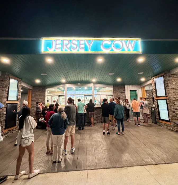 Jersey Cow Ice Cream Picture 6