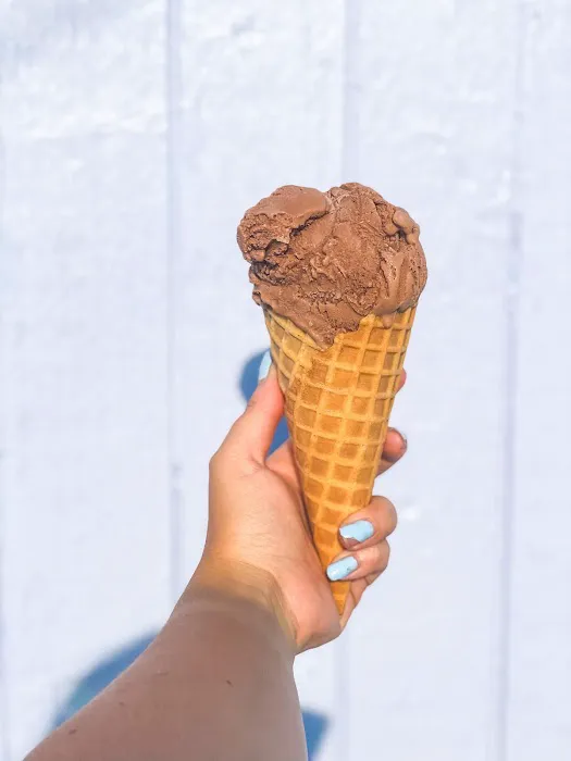 Moo Cow Cone Picture 9