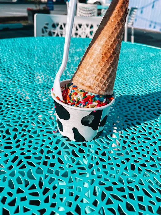 Moo Cow Cone Picture 3