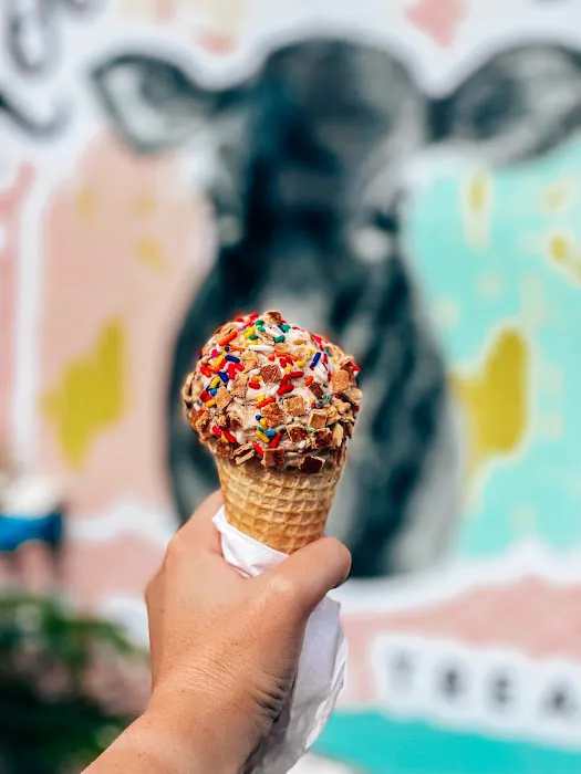 Moo Cow Cone Picture 4