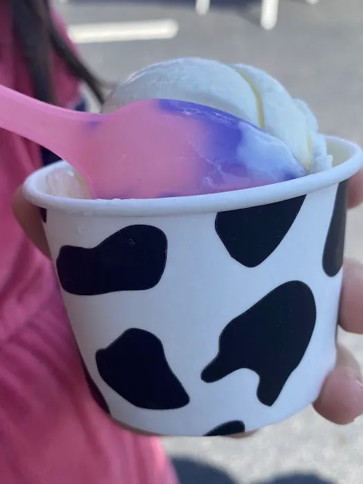 Moo Cow Cone Picture 7