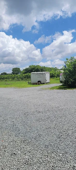 Chesapeake Bay Farms Picture 2