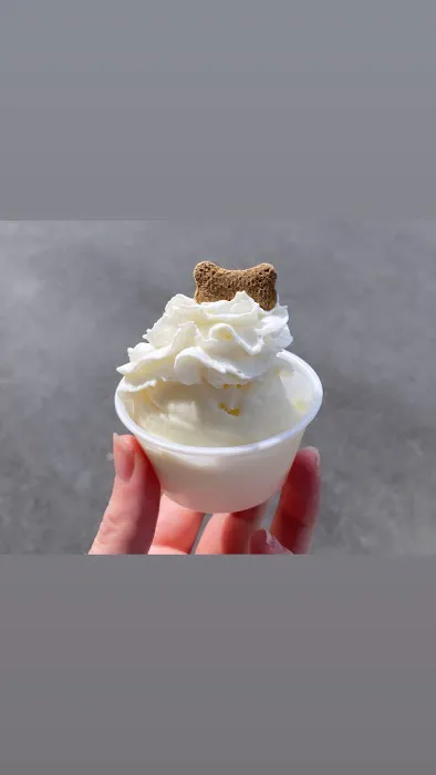 PopCe’s Homemade Ice Cream Picture 6