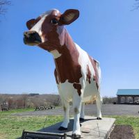 Kimberly Farm Ice Cream ico